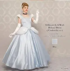 ぴ*読様 アニメシンデレラドレス LサイズBlue検シークレットハニー Secret Honey - シークレットハニー シンデレラ 実写版ドレスの
