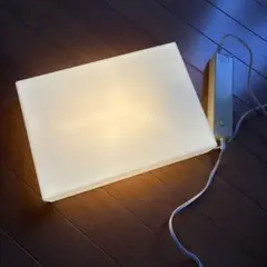 Item thumbnail for item 756d80b5-283a-45e9-9d4a-ea46cb8a872f