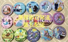 【コンプリート】ディズニー　刺繍缶バッジ