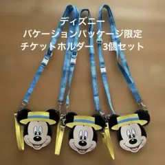 東京ディズニーリゾート バケーションパッケージ ストラップ付チケットホルダーのサムネイル