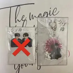 ウソ婚 渡辺翔太アクキー