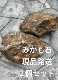 みかも石 現品発送 2個セット ドライガーデン アガベ サボテンのサムネイル