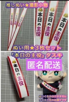 【匿名配送】推しぬい・ぬい用「本日の主役」タスキ３枚セット