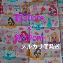 メルカリ便 かわいいディズニープリンセス 生地 約30cm×約39cm はぎれ布