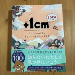 +1cm IDEA