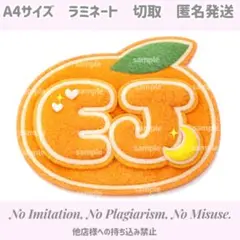 ウィジュ　ふわふわネームボード　&TEAM