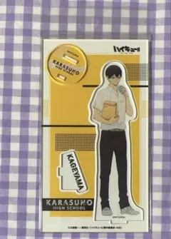 ハイキュー 影山飛雄 昼休憩 アクリルスタンド アクスタ