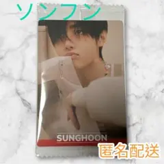 ENHYPEN ツインウエハース シール ソンフン