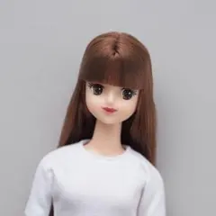 Item thumbnail for item caeb828d-832a-494e-b846-3de36b9e639c