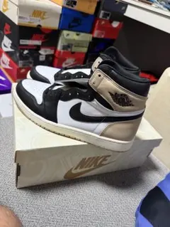 Nike Air Jordan 1 Retro High OG 