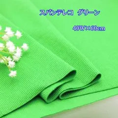【付属用スパンテレコ　グリーン60cmの特別価格です！】60a49
