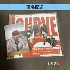 WILDBLUE CURVE 宮武颯