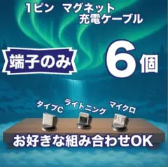 【超激安】便利 選べる端子 マグネット充電ケーブル端子 6個 アダプター