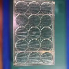 Item thumbnail for item e87abaf2-c86e-41d2-8025-1ba3753b544d