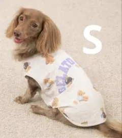 ジェラートピケ　スポーティーベア柄カットソープルオーバー‼️グレー‼️