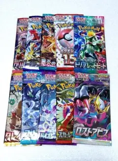 ぷらねてす様専用　10パックセット