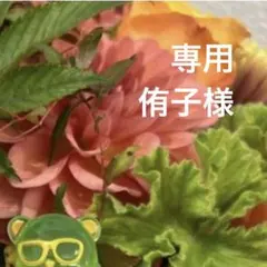 専用ページ おこめ。(プロフ確認お願いします)様 - メルカリ