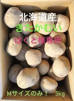 はくと様専用 北海道産 きたかむい（Mサイズのみ！）5kg