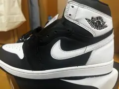 NIKE AIRJORDAN1 エアジョーダン1 DZ5485-010