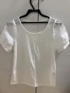 Item thumbnail for item 09f4bcdd-11c3-4493-8ca2-df1b464f835c