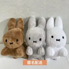 Item thumbnail for item f7a026a8-122e-4f68-9534-93f698739905