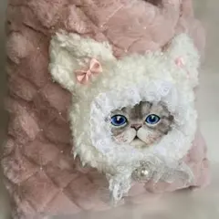 コヤンイサムチョン　トートバッグ　ボア　ルミちゃん　ピンク　お菓子柄　ハート