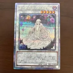 2025年最新】遊戯王 ガーデン・ローズ・メイデンの人気アイテム - メルカリ