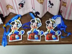 東京ディズニーリゾート　バケーションパッケージ　ミッキーパスケースセット　新品