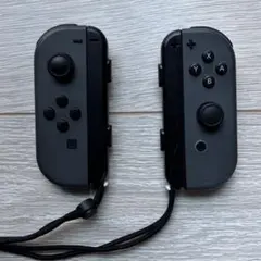 Nintendo Switch Joy-Con グレー 2個セット