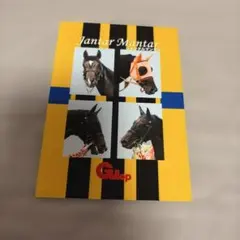ジャンタルマンタル シークレット ブロマイド