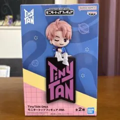 TinyTAN モニタートップフィギュア RMのサムネイル