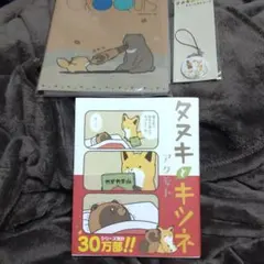 タヌキとキツネ　３点セット