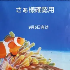 沖縄アダン＊ラウハラボール105