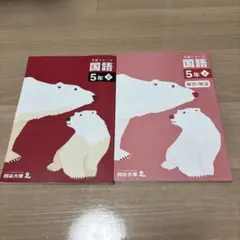 2026年最新】四谷大塚 予習シリーズ 5年 国語 基本の人気アイテム