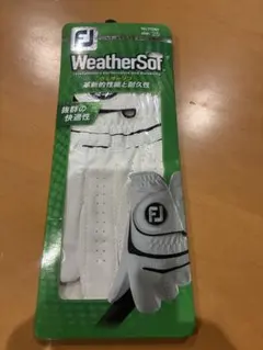 Item thumbnail for item 6516ccdc-18ce-4e29-a371-9f9fc8aa1474