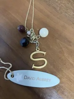 David Aubrey Sチャームネックレス PALI12