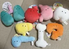 もちもちにんげんのからだ　ぬいぐるみ　セット　22種 2026年最新】にんげんのからだ ぬいぐるみの人気アイテム - メルカリ