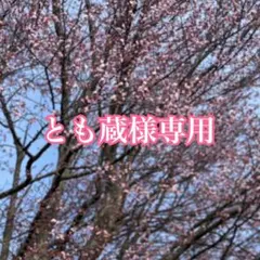 専用　ヴィンテージネックレス　チベット　シルバーカラー