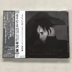 2026年最新】平沢進の人気アイテム - メルカリ