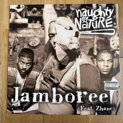 Naughty By Nature 12インチシングル 5枚セット 2026年最新】12inchレコード NAUGHTY BY NATURE / JAMBOREE feat