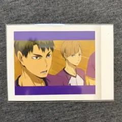 ハイキュー　牛島若利　白布賢二郎　ぱしゃこれ