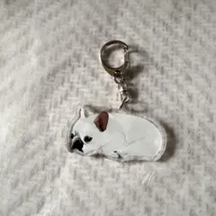 Item thumbnail for item 3236e3dd-12ef-4162-a13d-41325e62c8df