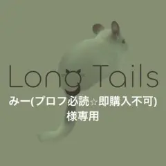 みー(プロフ必読⭐︎即購入不可)様専用