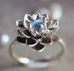 14号　上品　ムーンストーン　シルバー　ロータス　エレガント　リング　指輪