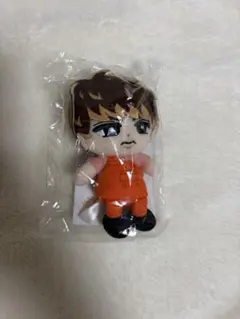 SnowMan すのチルぬいぐるみ向井康二のサムネイル
