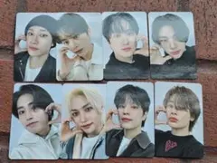 StrayKids SKZOO 10CM ぬいぐるみ トレカ　キャリー