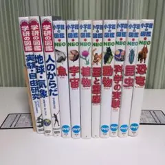 【11冊セット】小学館の図鑑NEO まとめ売り 小学館 図鑑NEO プレNEO 11冊セット 不思議 世界 日本 世の中 工夫