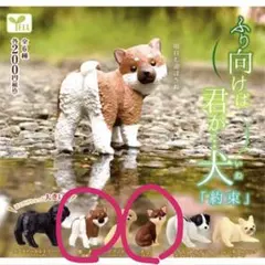 ふり向けば君が…犬 柴犬 チワワ ミニフィギュア 2種セット