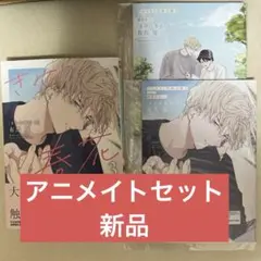 きみの春花 3 アニメイトセットPremium アニメイト　小冊子　新品