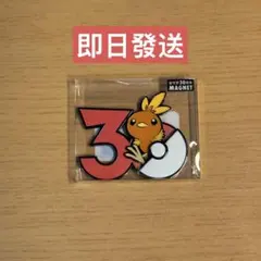 中国限定 【新品】エレズン ポケモン 30周年 マグネット 宝可梦MAGNET